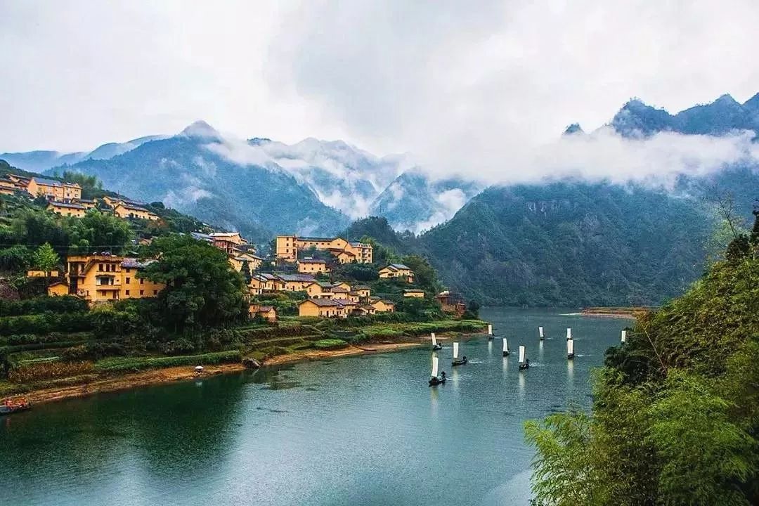 浙江绿色转型，开启高质量发展新篇章