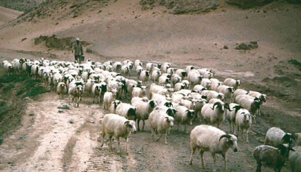 宁夏，丝绸之路上的璀璨明珠之地